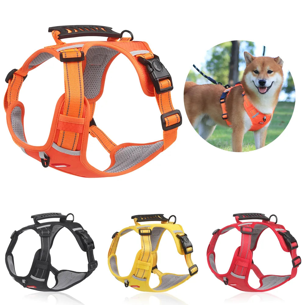 Collier Confortable Réfléchissant pour Chiens